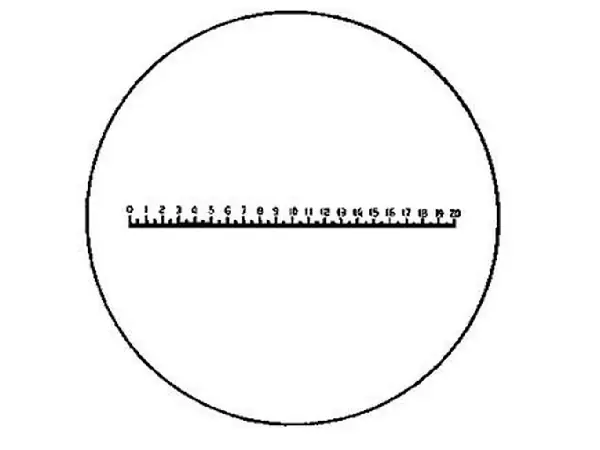 Escala de precisión tipo D Eschenbach  