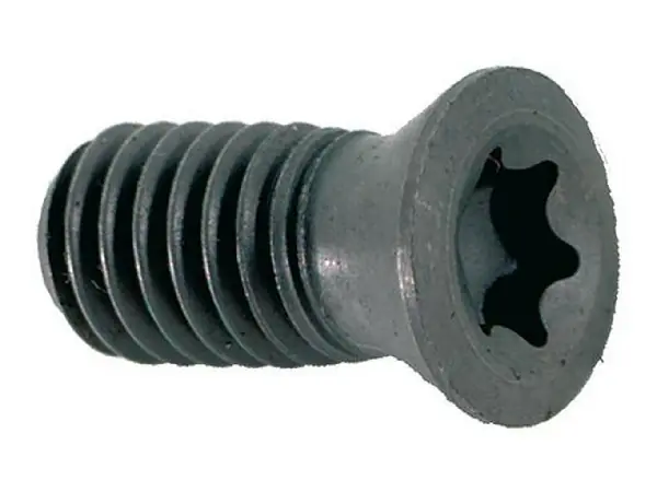 Tornillo Torx SDMT 12 FORMAT 