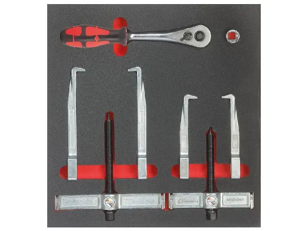 Modulo extractor 2/3 FORMAT  