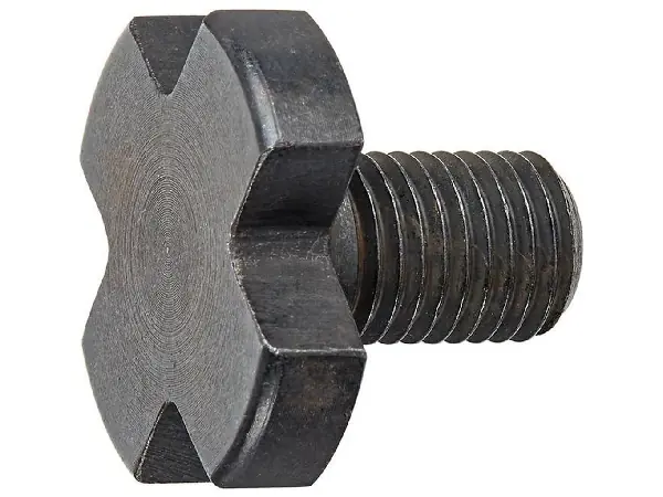 Tornillo apriete DIN367 tam.22 M10 FORTIS  
